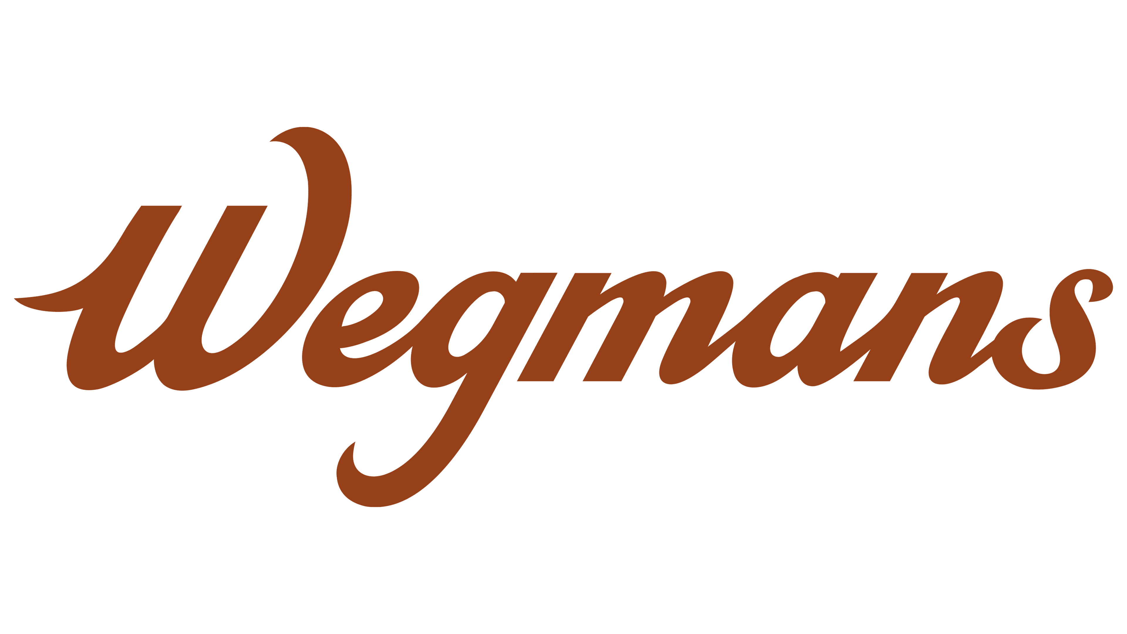 Wegmans script logo on black background